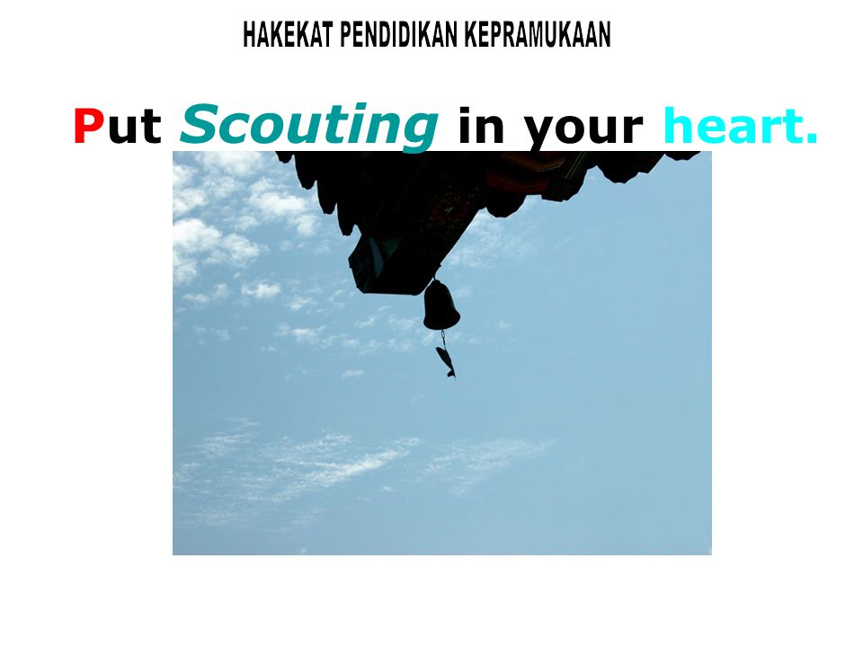 Put Scouting in your heart.