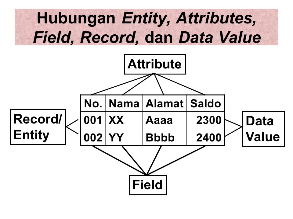 Hubungan Entity, Attributes, Field, Record, dan Data Value