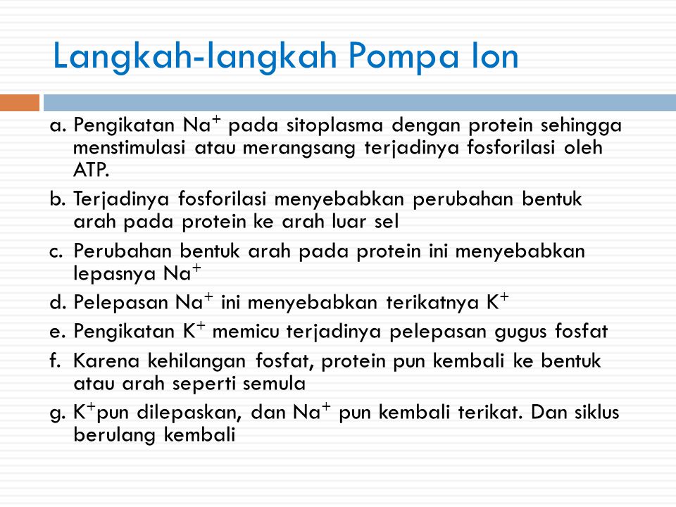 Langkah-langkah Pompa Ion