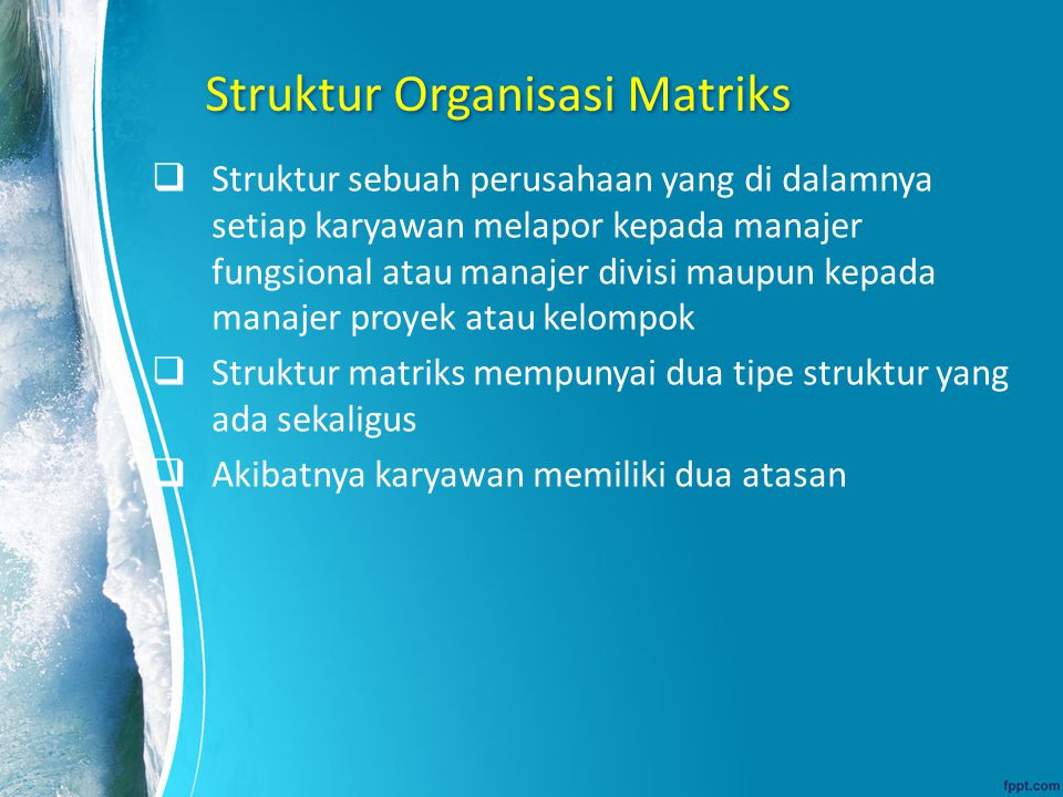 Struktur Organisasi Matriks