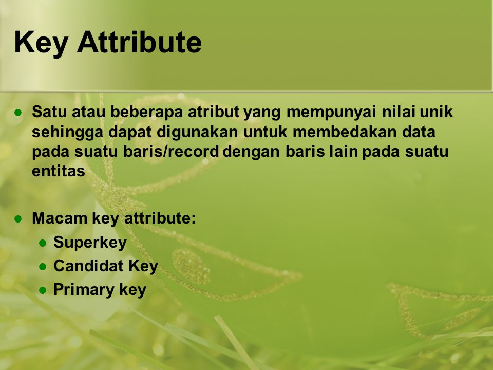 Key Attribute