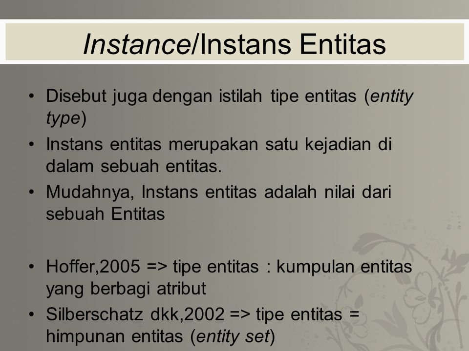 Instance/Instans Entitas