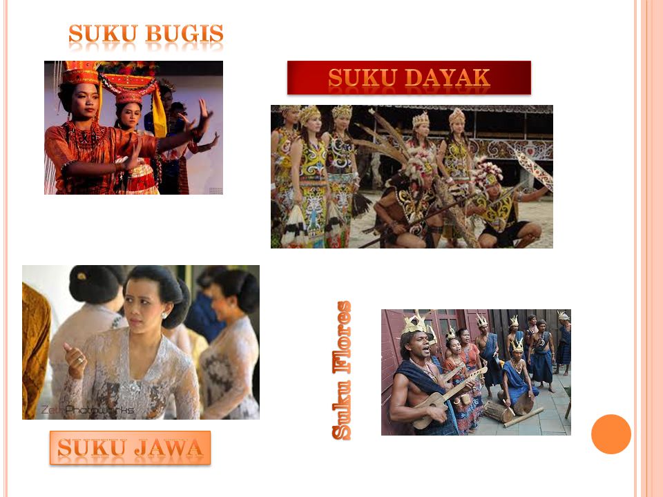 suku bugis Suku Dayak Suku Flores Suku Jawa