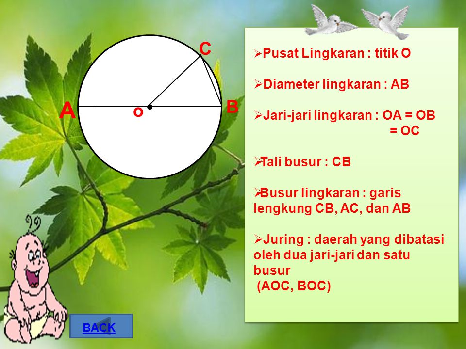 A C B o Diameter lingkaran : AB Jari-jari lingkaran : OA = OB = OC