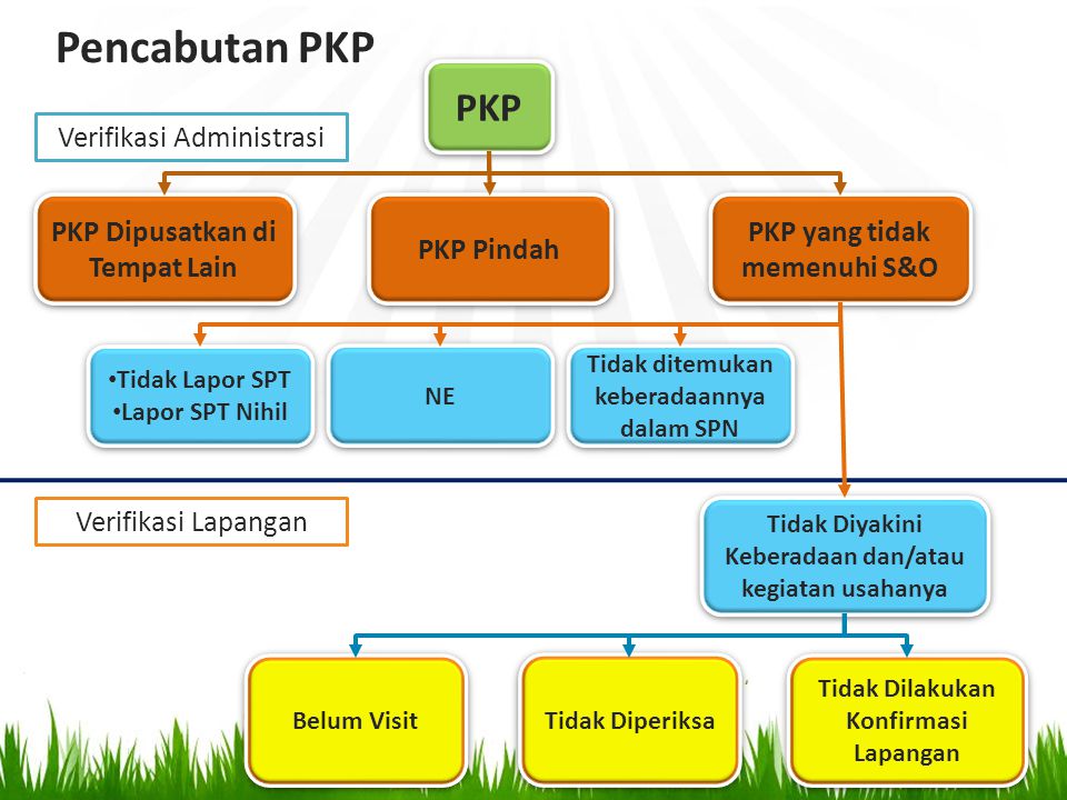 Pencabutan PKP PKP Verifikasi Administrasi