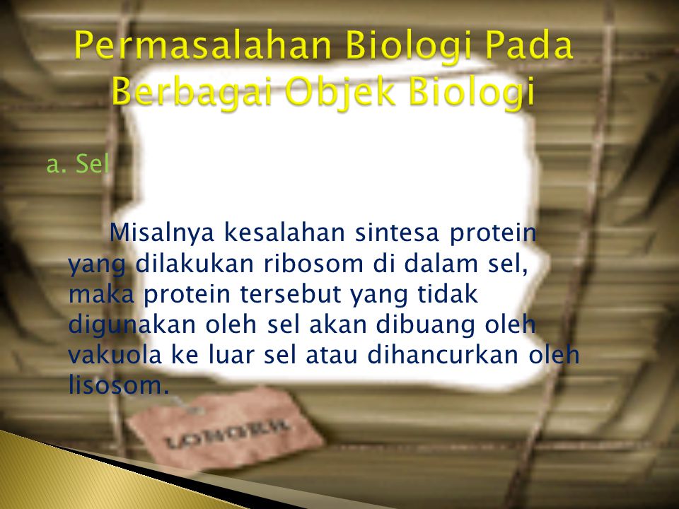 Permasalahan Biologi Pada Berbagai Objek Biologi