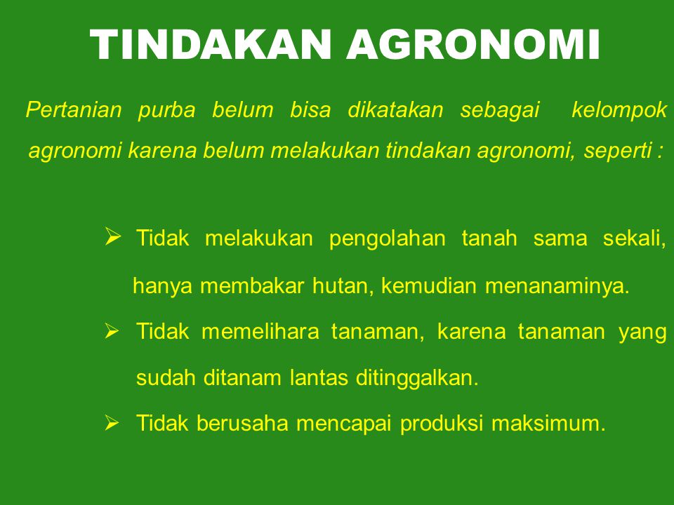 TINDAKAN AGRONOMI Pertanian purba belum bisa dikatakan sebagai kelompok agronomi karena belum melakukan tindakan agronomi, seperti :