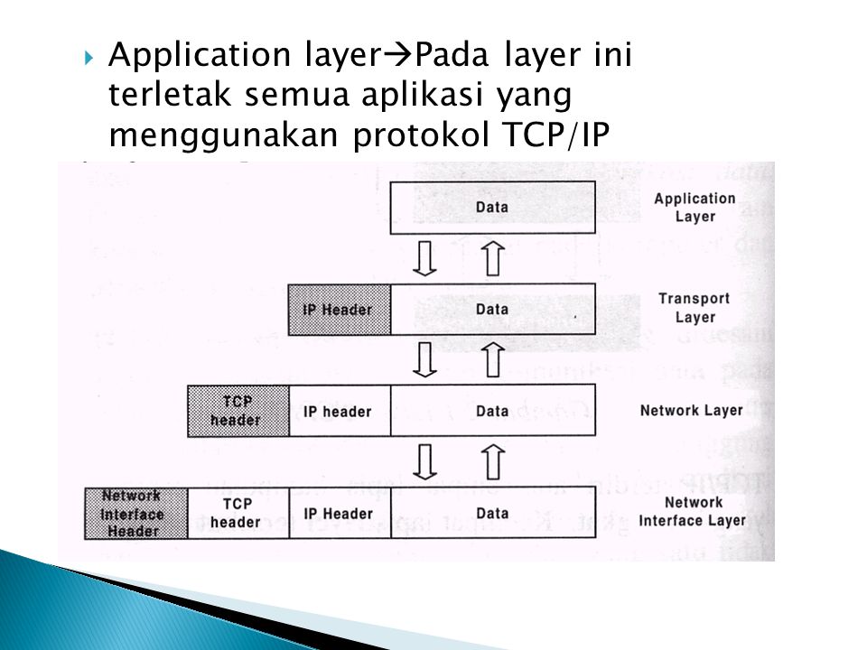 Application layerPada layer ini terletak semua aplikasi yang menggunakan protokol TCP/IP