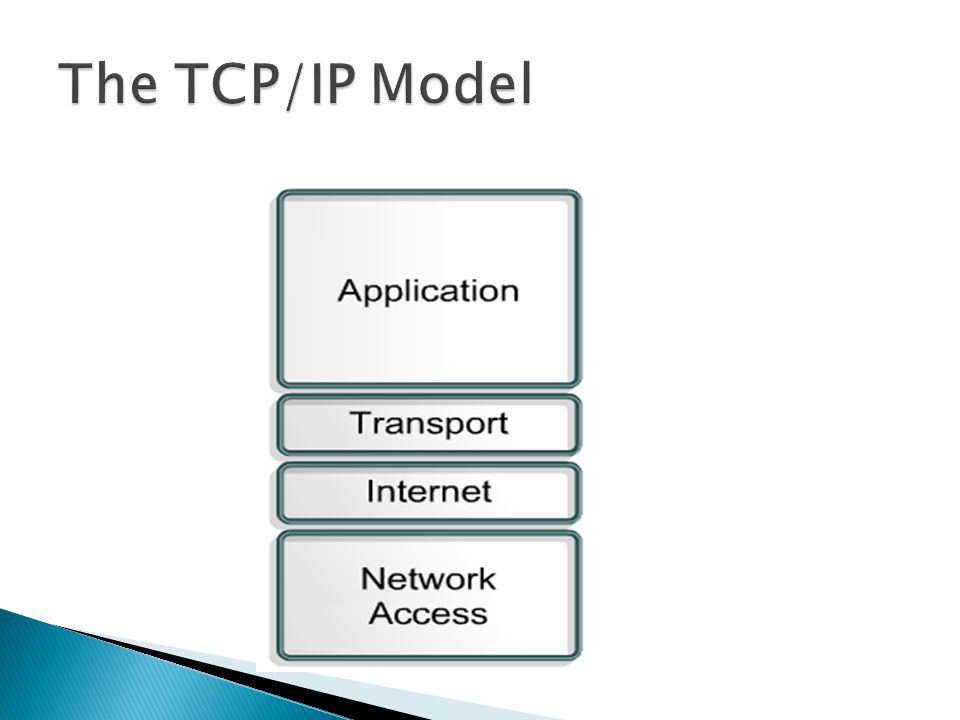 The TCP/IP Model