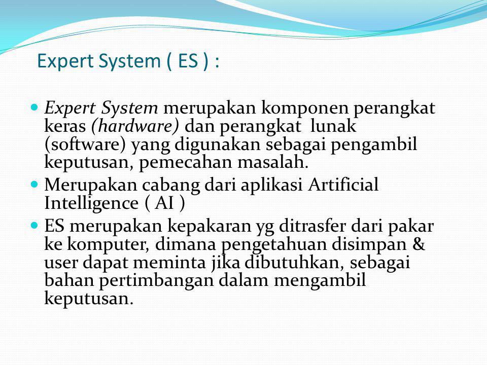 Expert System ( ES ) :