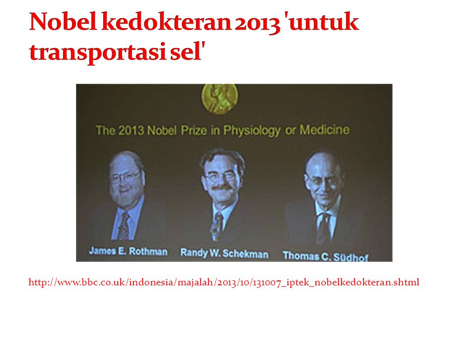 Nobel kedokteran 2013 untuk transportasi sel