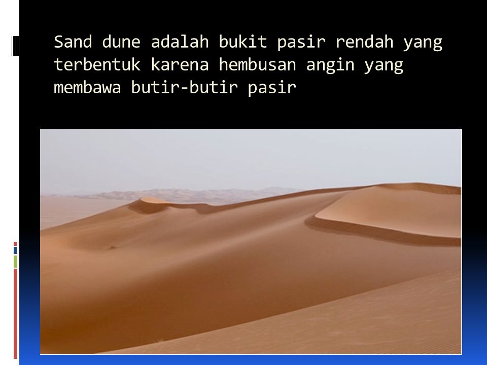 Sand dune adalah bukit pasir rendah yang terbentuk karena hembusan angin yang membawa butir-butir pasir