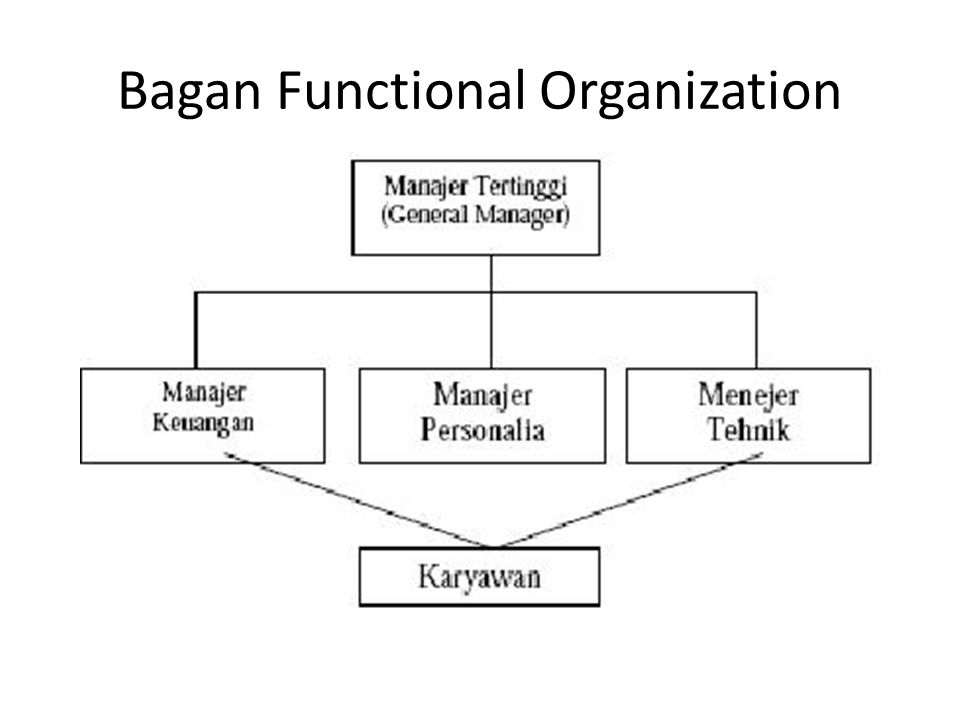 Bagan Functional Organization