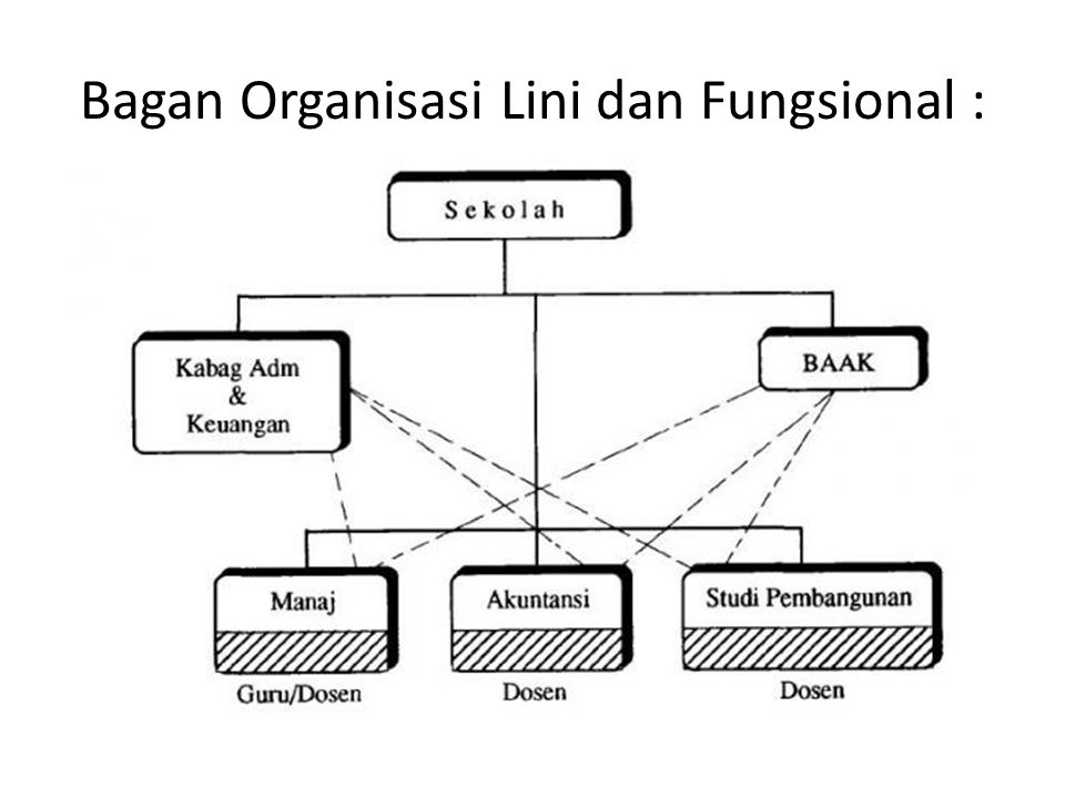 Bagan Organisasi Lini dan Fungsional :