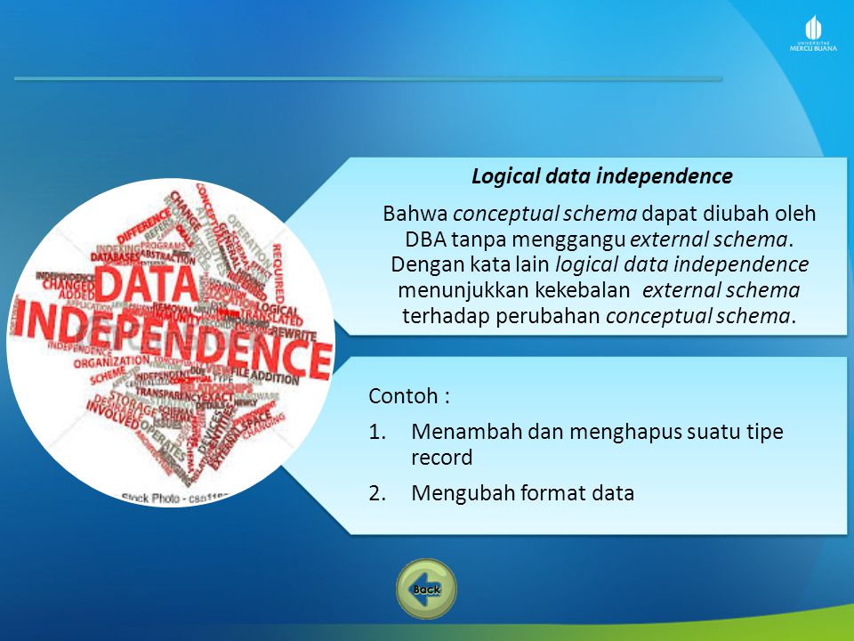 Logical data independence