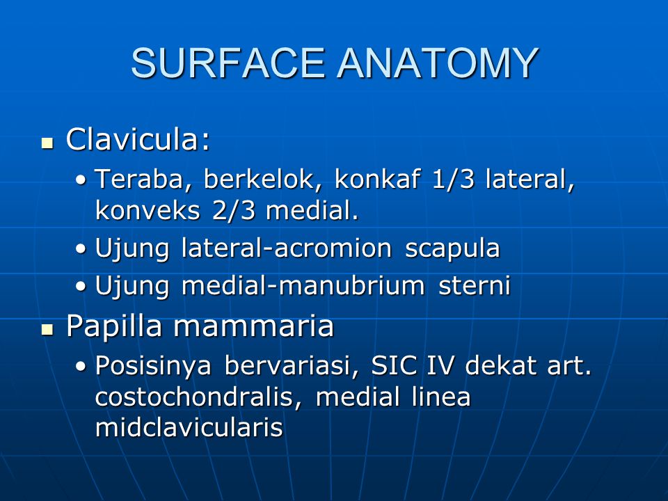 SURFACE ANATOMY Clavicula: Papilla mammaria