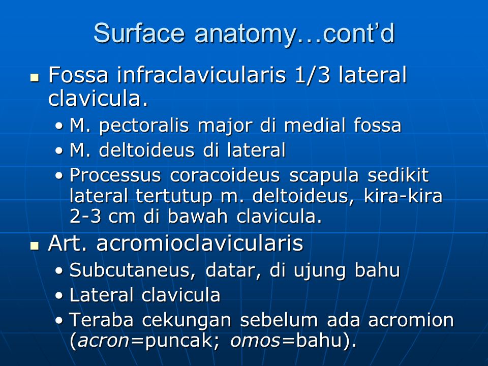 Surface anatomy…cont’d