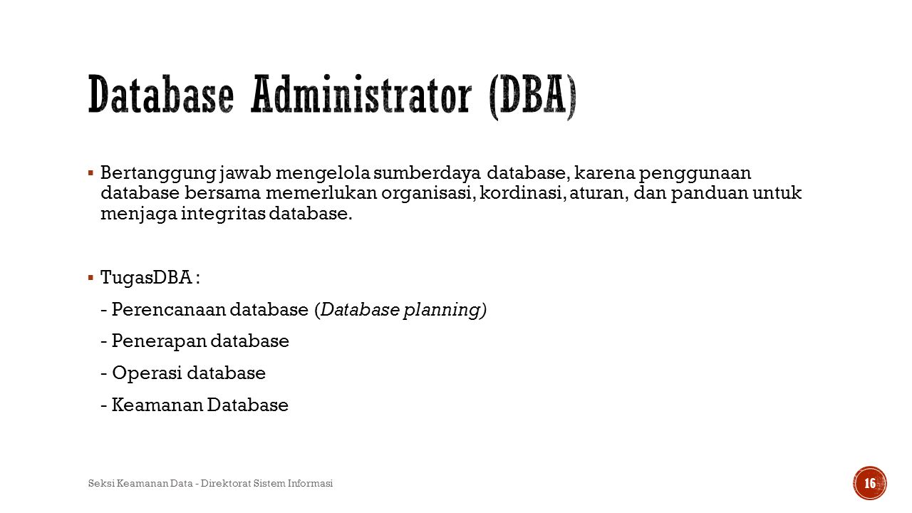 Database Administrator (DBA)