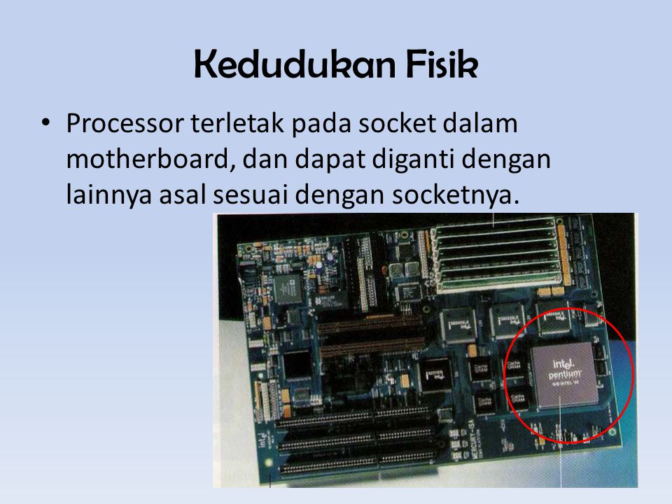 Kedudukan Fisik Processor terletak pada socket dalam motherboard, dan dapat diganti dengan lainnya asal sesuai dengan socketnya.
