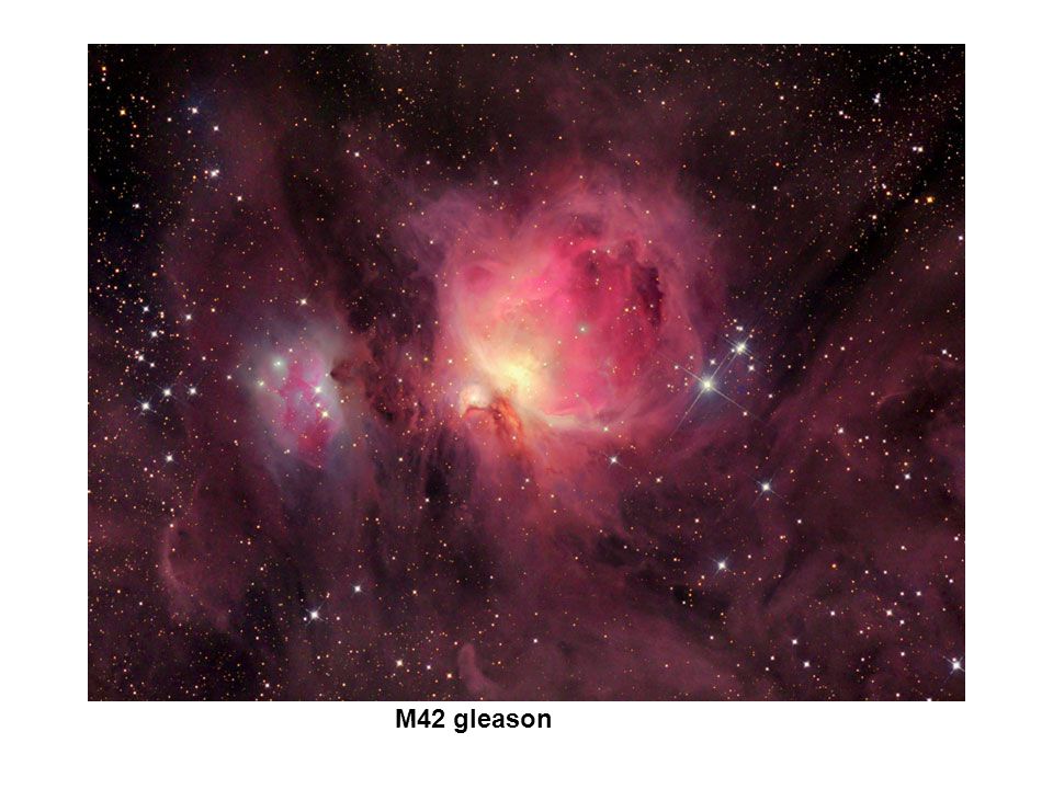 M42 gleason