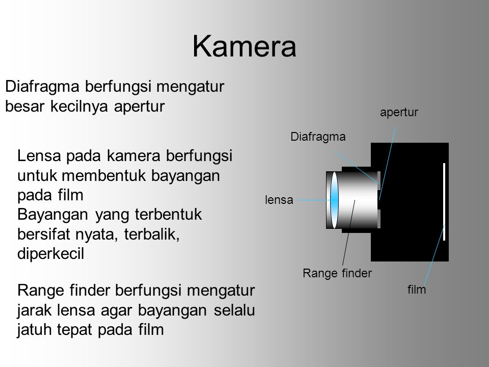 Kamera Diafragma berfungsi mengatur besar kecilnya apertur