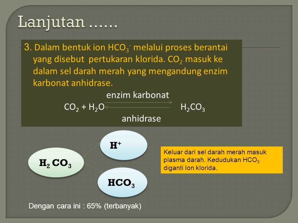 Lanjutan Dalam bentuk ion HCO3- melalui proses berantai