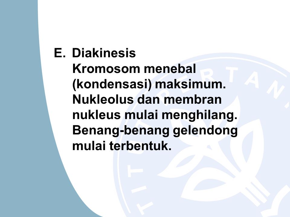 E. Diakinesis Kromosom menebal (kondensasi) maksimum.