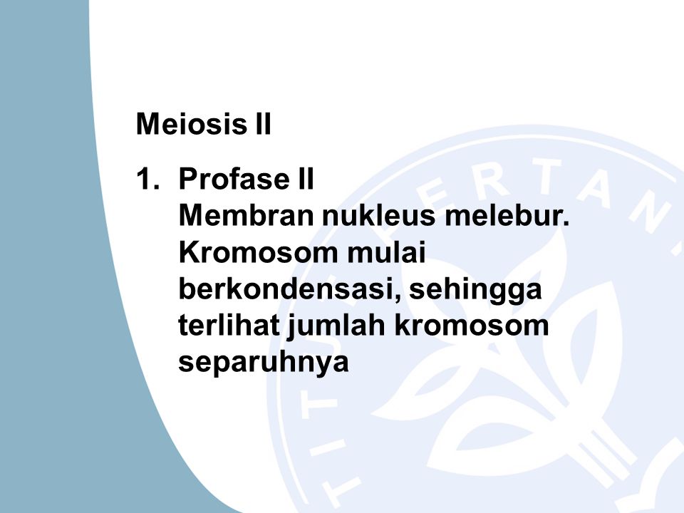 Meiosis II 1. Profase II Membran nukleus melebur.