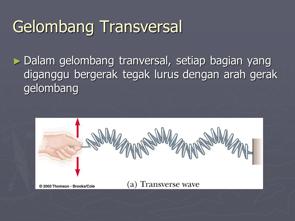 Gelombang Transversal
