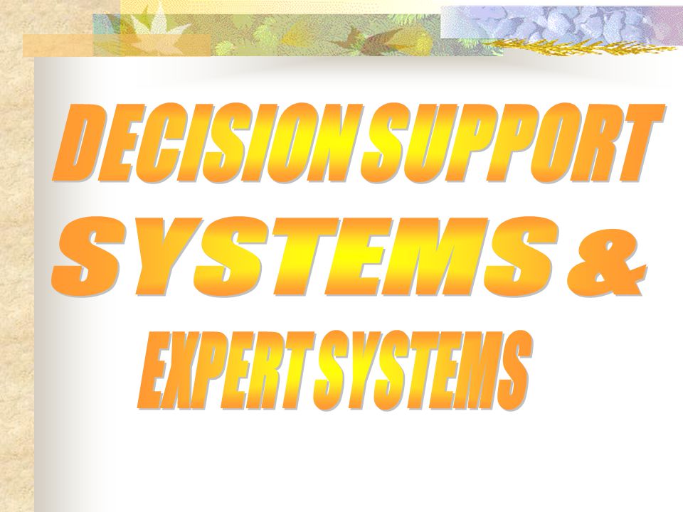 DECISION SUPPORT SYSTEMS & EXPERT SYSTEMS