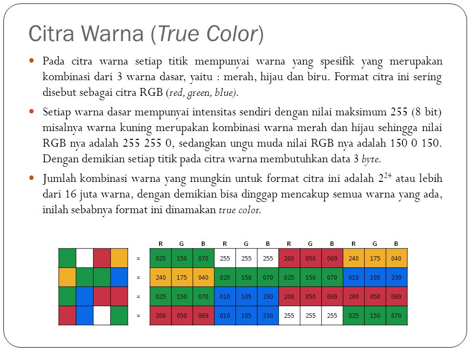 Citra Warna (True Color)
