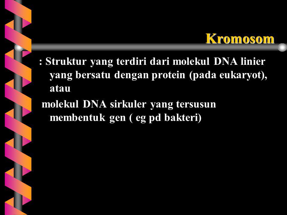 Kromosom : Struktur yang terdiri dari molekul DNA linier yang bersatu dengan protein (pada eukaryot), atau.