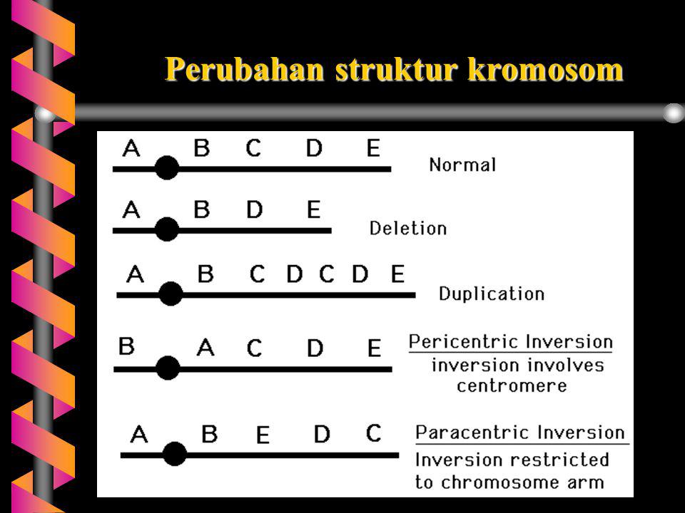 Perubahan struktur kromosom
