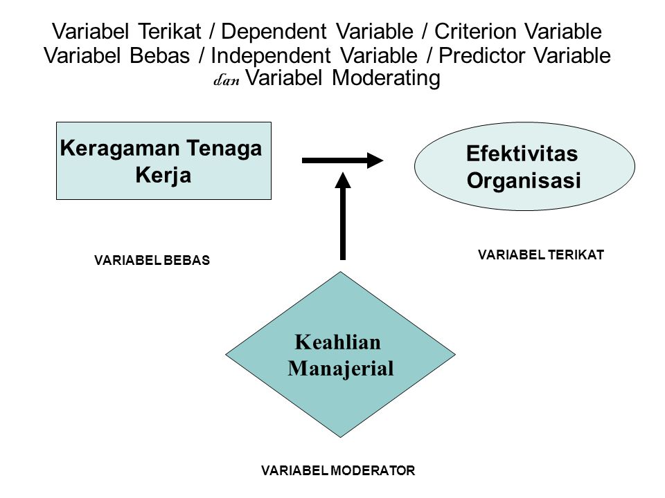 Variabel Terikat / Dependent Variable / Criterion Variable