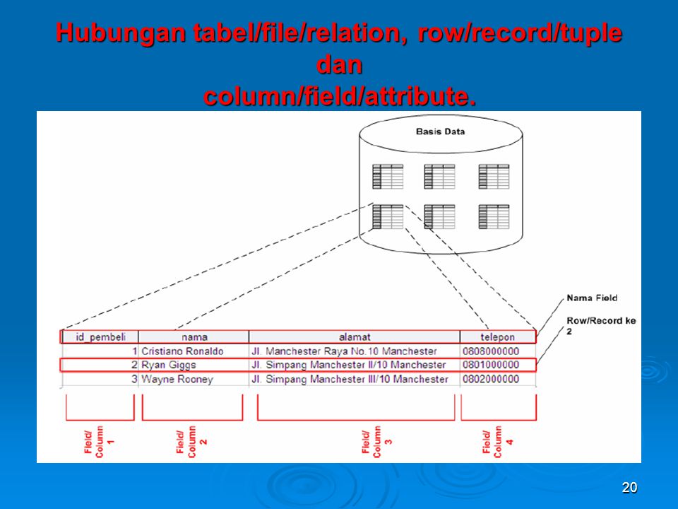 Hubungan tabel/file/relation, row/record/tuple dan column/field/attribute.
