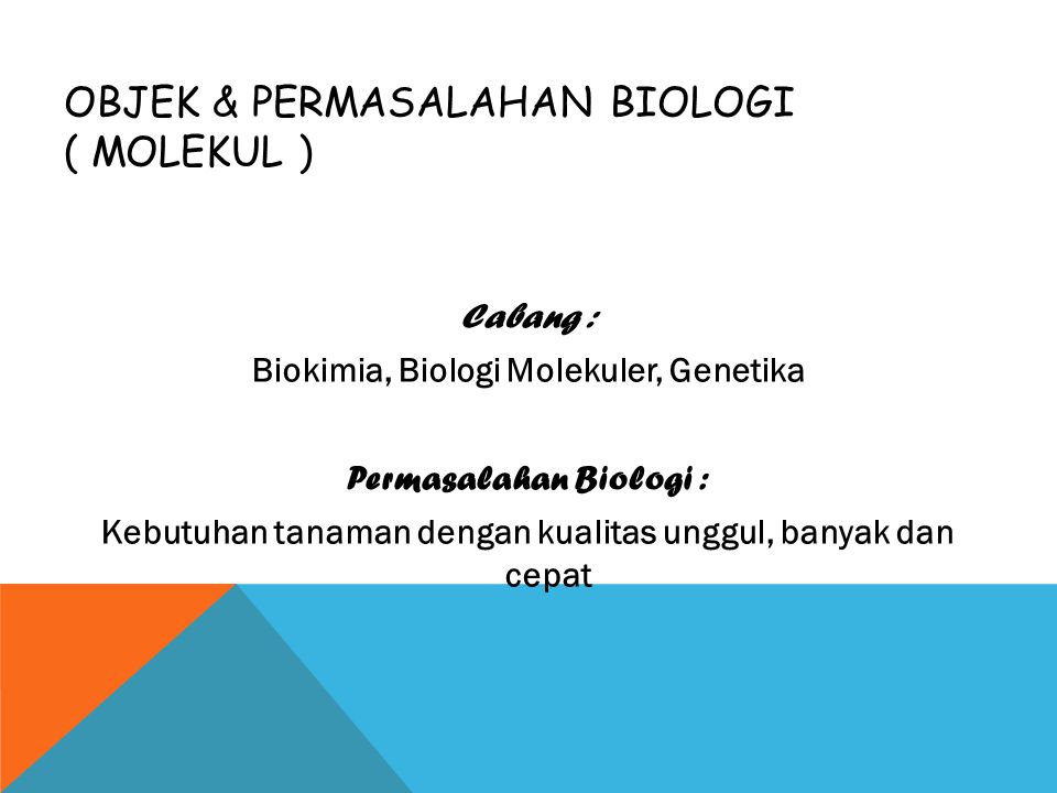 Objek & Permasalahan Biologi ( molekul )
