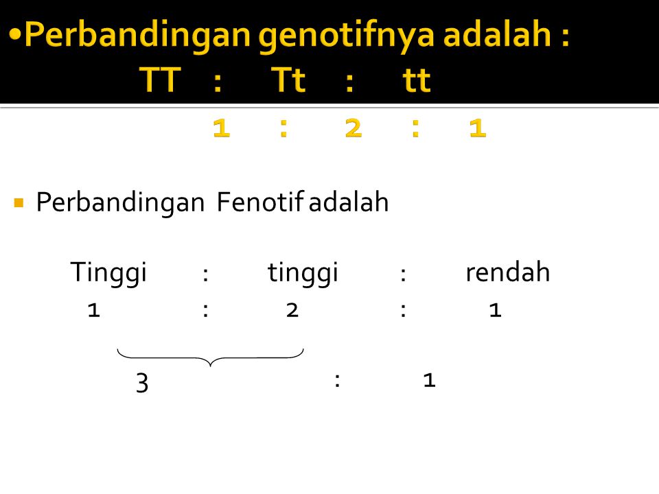 Perbandingan genotifnya adalah : TT : Tt : tt 1 : 2 : 1