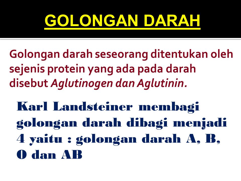 GOLONGAN DARAH Golongan darah seseorang ditentukan oleh sejenis protein yang ada pada darah disebut Aglutinogen dan Aglutinin.