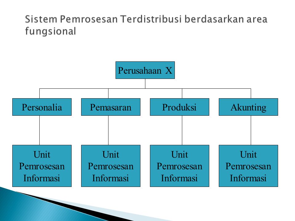 Sistem Pemrosesan Terdistribusi berdasarkan area fungsional