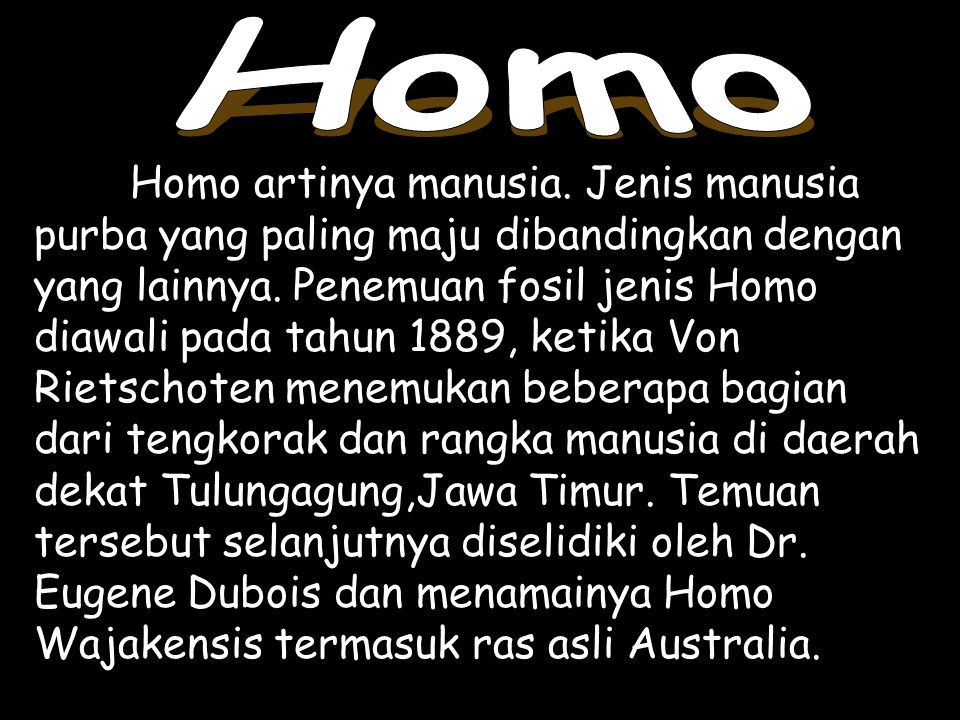 Homo adalah