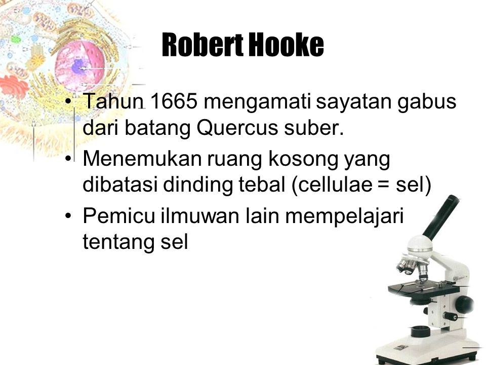 Robert Hooke Tahun 1665 mengamati sayatan gabus dari batang Quercus suber. Menemukan ruang kosong yang dibatasi dinding tebal (cellulae = sel)