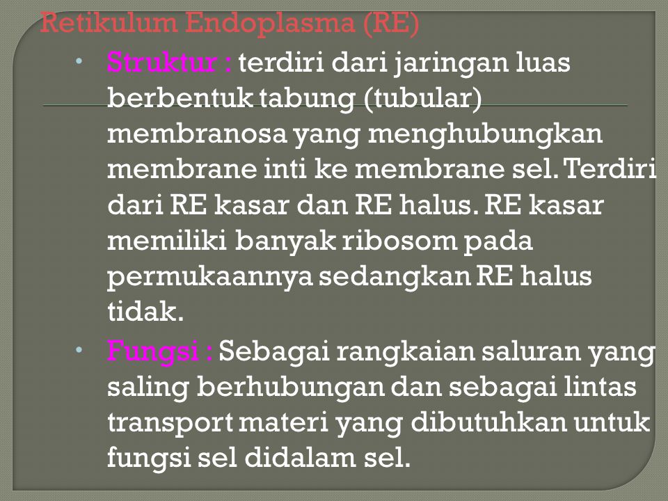 Retikulum Endoplasma (RE)