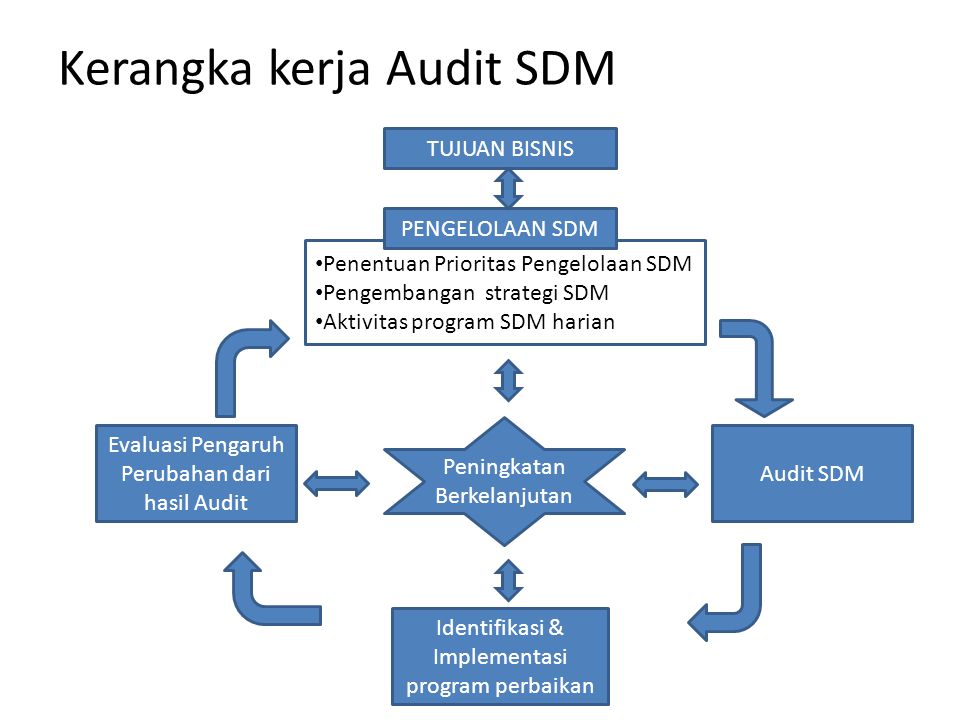 Kerangka kerja Audit SDM