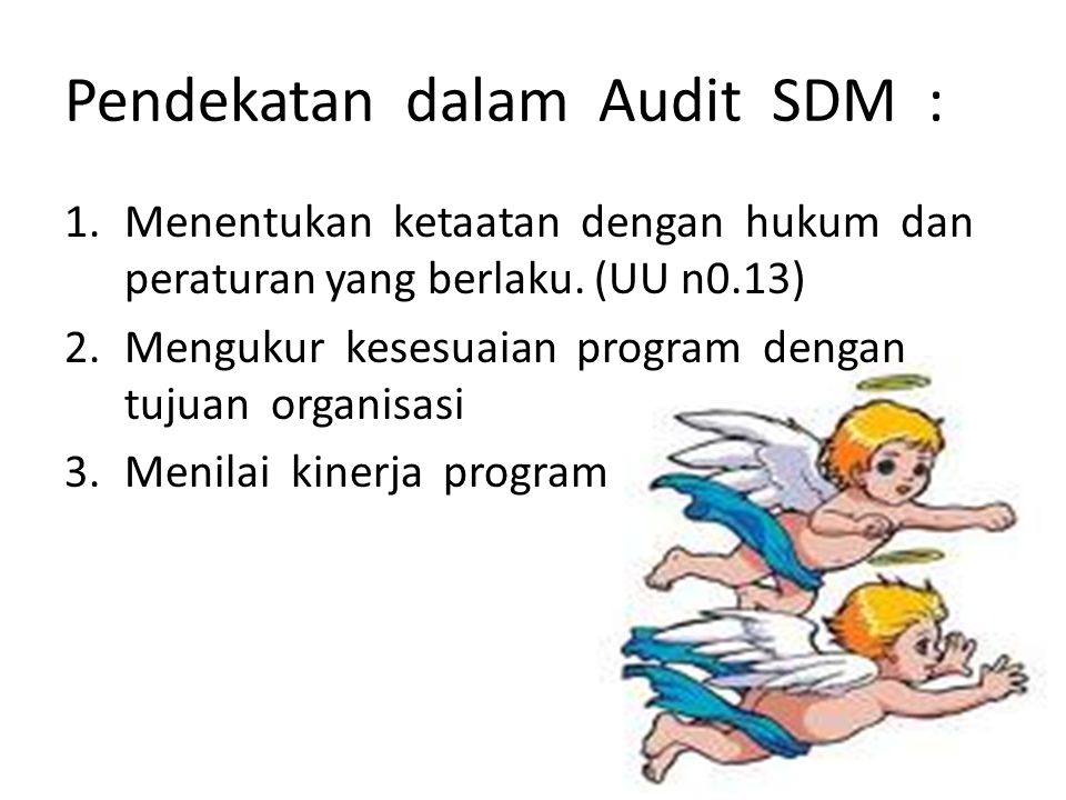 Pendekatan dalam Audit SDM :
