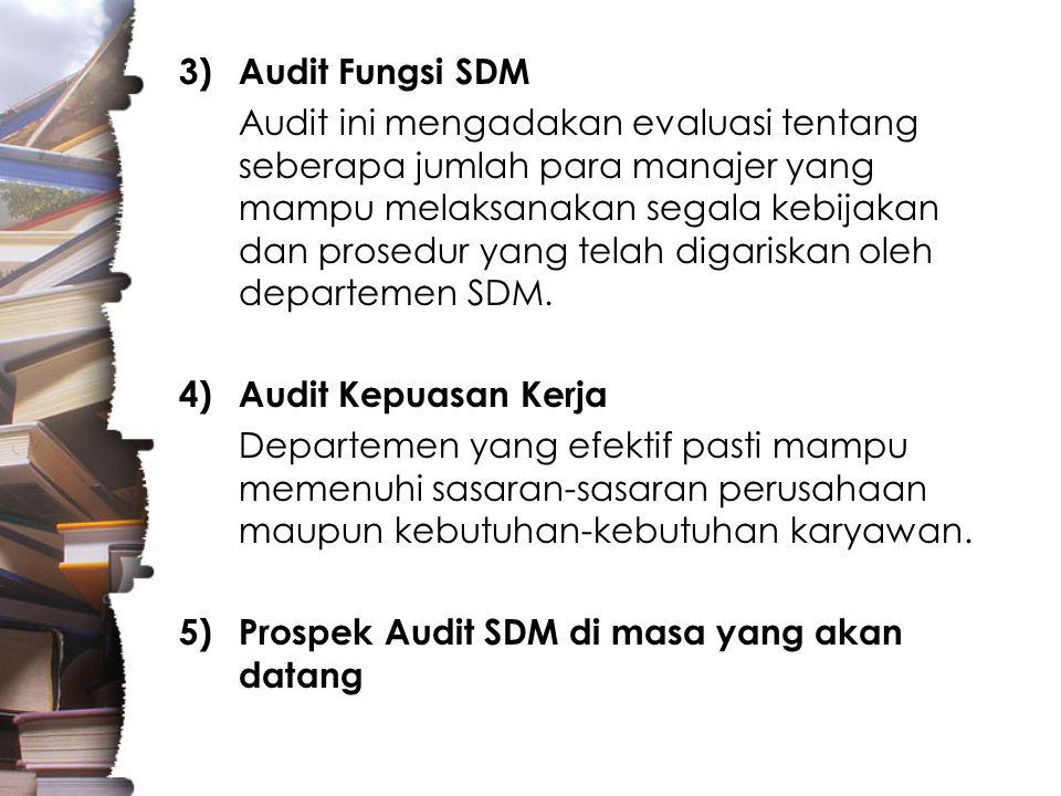 Audit Fungsi SDM