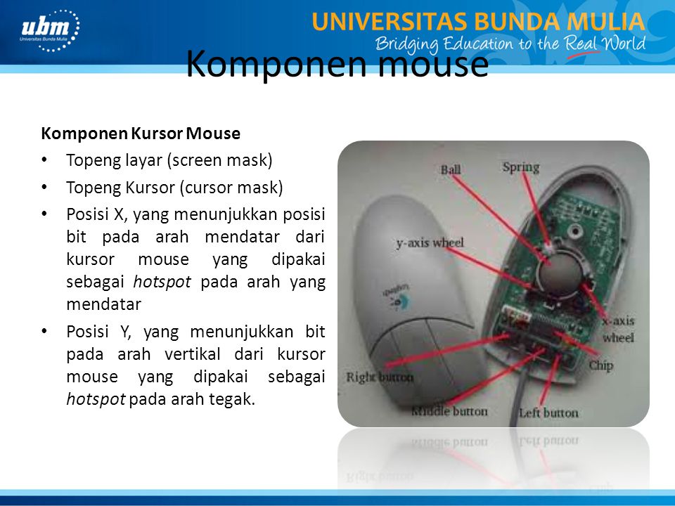 Komponen mouse Komponen Kursor Mouse Topeng layar (screen mask)