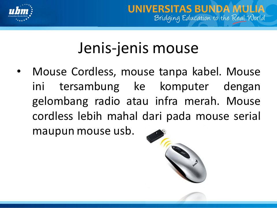Jenis-jenis mouse