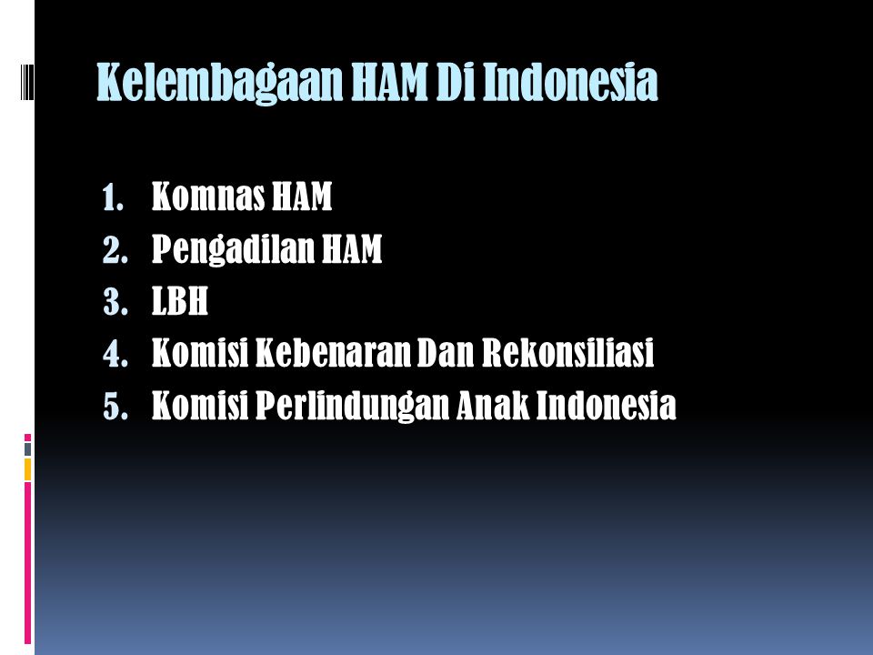 Kelembagaan HAM Di Indonesia