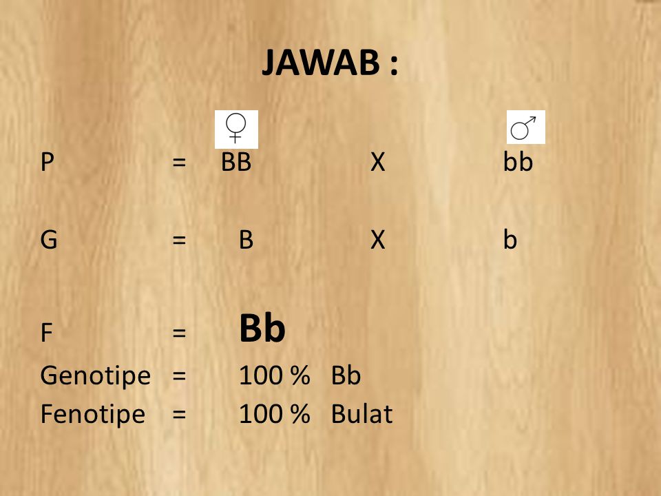 JAWAB : P = BB X bb G = B X b F = Bb Genotipe = 100 % Bb Fenotipe = 100 % Bulat
