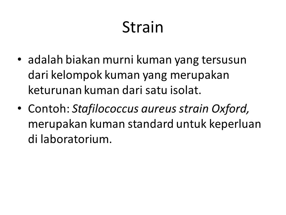 Strain adalah biakan murni kuman yang tersusun dari kelompok kuman yang merupakan keturunan kuman dari satu isolat.